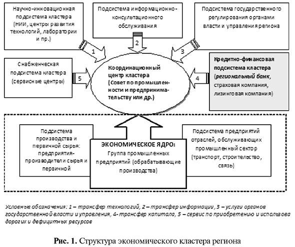 Структура экономического кластера региона