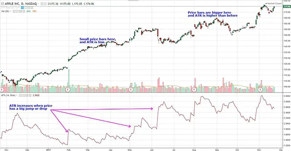 Способ выжить на медвежьем рынке - размер позиции