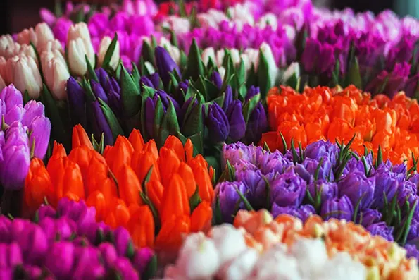 Как выбрать цветы на 8 Марта