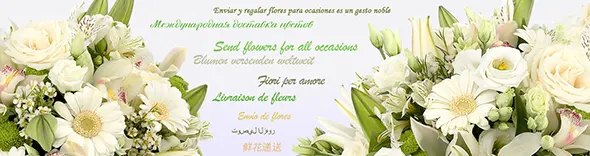 Доставка цветов по Праге службой Yes.ua